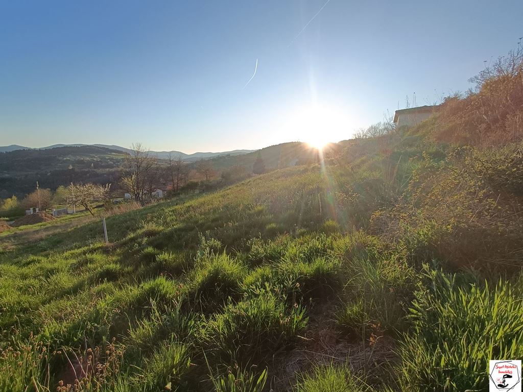 Terrain ST VICTOR 44500€ SAPET MICHELAS IMMOBILIER Terrain ST VICTOR 44500€ SAPET MICHELAS IMMOBILIER