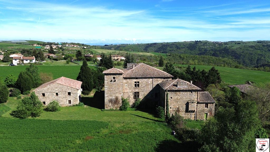 Château COLOMBIER LE VIEUX 999000€ SAPET MICHELAS IMMOBILIER