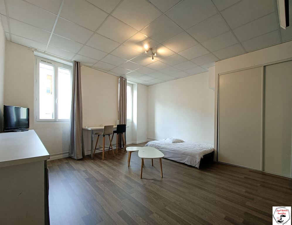 Appartement Studio TAIN L'HERMITAGE 511€ SAPET MICHELAS IMMOBILIER Appartement Studio TAIN L'HERMITAGE 511€ SAPET MICHELAS IMMOBILIER